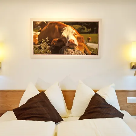 Lieblingsplatz Tirolerhof 4* צל אם צילר